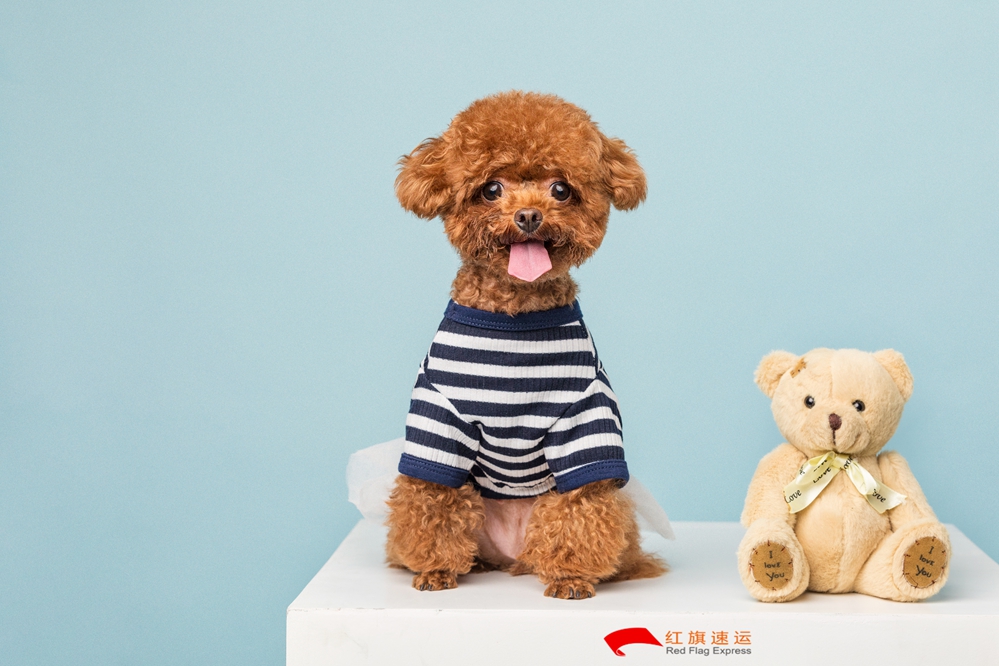 玩具香港轉運到中國