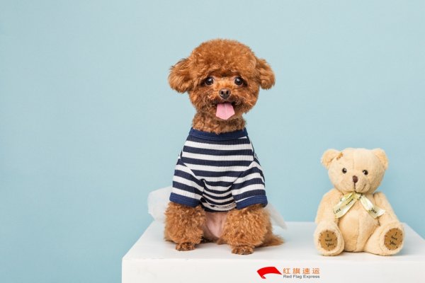 玩具通關攻略-如何從香港進口到內(nèi)地？